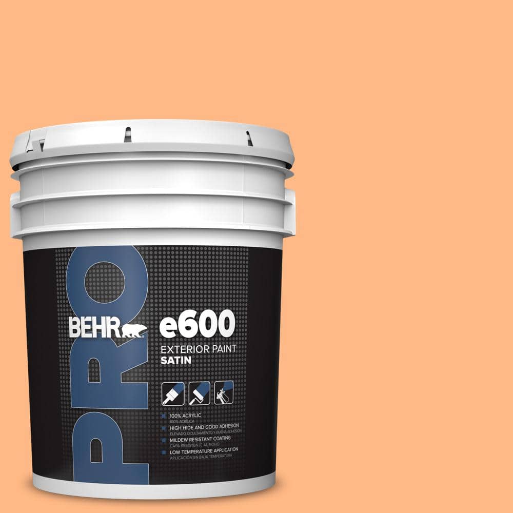 5 gal. #250B-4 Coral Gold Satin Exterior Paint product image for price tracking