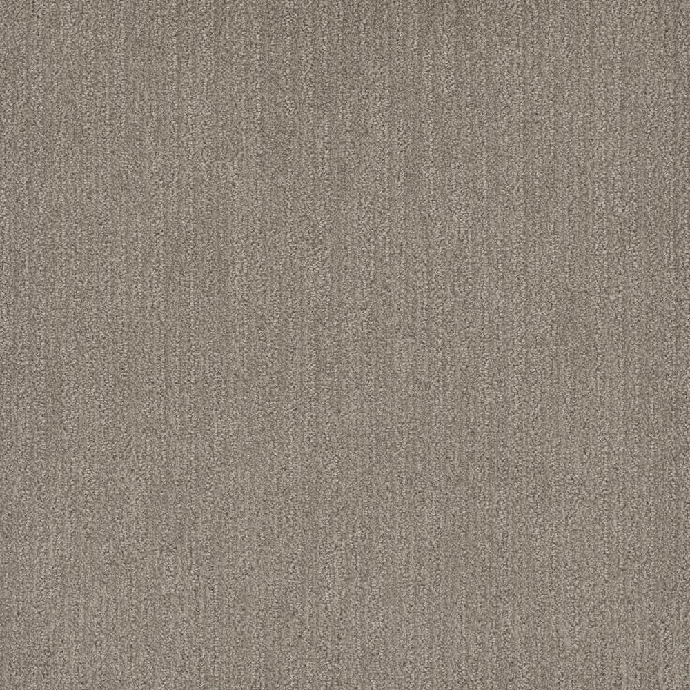 8 in. x 8 in. Pattern Carpet Sample - Harlow - Color Otter price history on PriceWatchPro