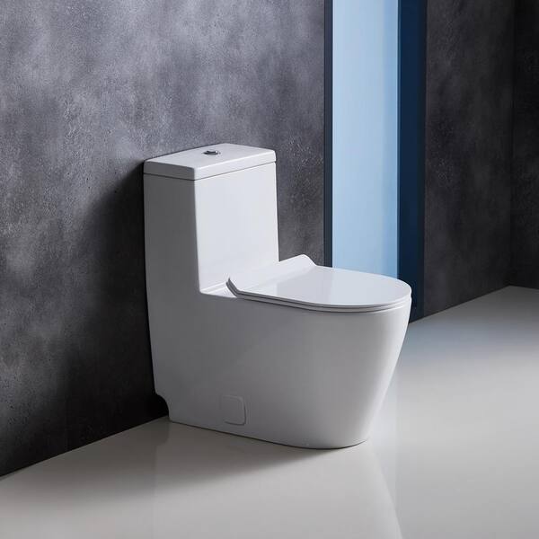 Eridanus All-in-One Toilet Elongated One-Piece Dual Flush 1.28 GPF/0.88 GPF High Efficiency Skirted Toilet in White