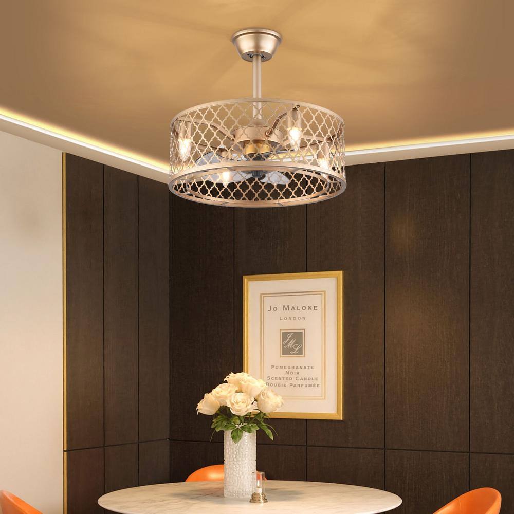 20-Inch Gold Metal Caged Ceiling Fan with Remote and Lighting
