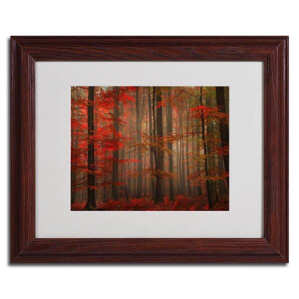 Trademark Fine Art 16 in. x 20 in. Enchanting Red Dark Wooden Framed Matted Art-DISCONTINUED