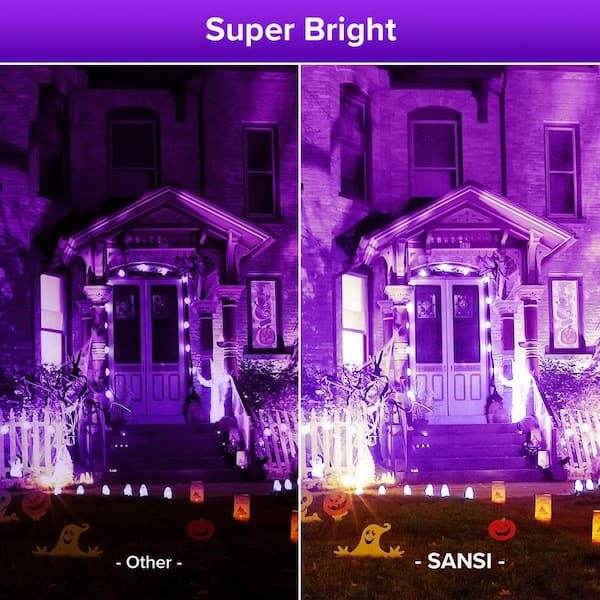 Reviews for SANSI Line-Voltage 70-Watt UVA Black Light Integrated LED  Outdoor Landscape Flood Light with IP65 Waterproof