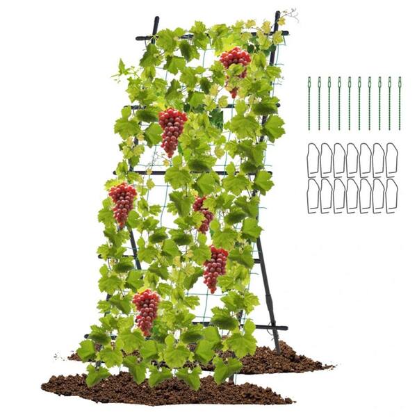 ポポラス　　/422B ITOPFOX 74 in. A-frame Stable Structure Tall Garden Trellis