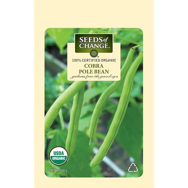 Organic Cobra Pole Bean Seeds