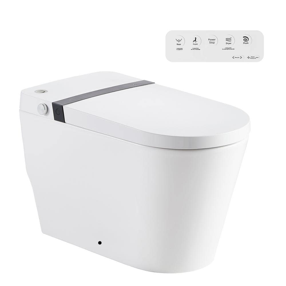 RAINLEX Elongated Bidet Toilet 0.8 GPF in White with Adjustable Sprayer ...