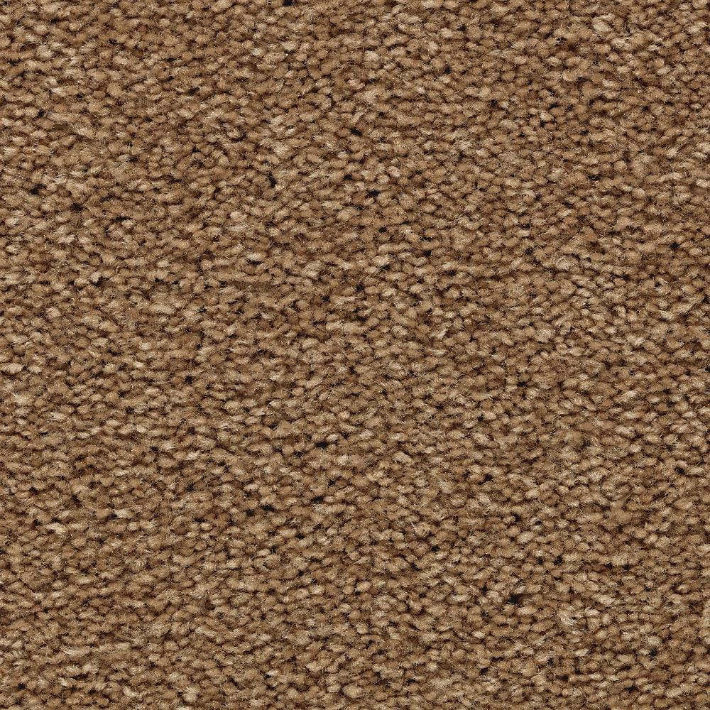 8 in. x 8 in. Texture Carpet Sample - Unblemished II -Color Greenbrier price history on PriceWatchPro