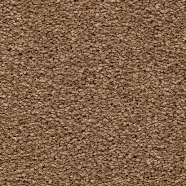 Lifeproof 8 in. x 8 in. Texture Carpet Sample Unblemished II Color