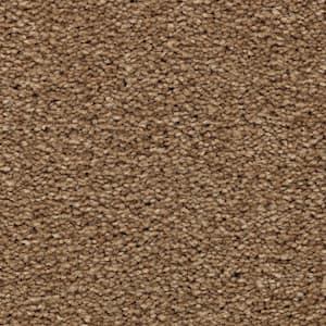 Unblemished II  - Greenbrier - Beige 55 oz. Triexta Texture Installed Carpet