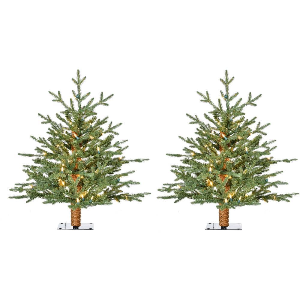 2 ft. Green Alpine Artificial Porch Christmas Tree with Warm White LED Ligh