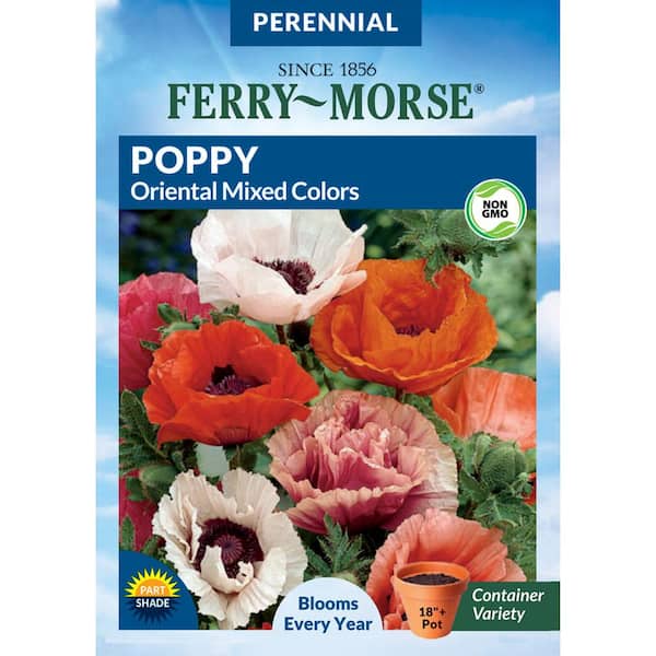 Ferry-Morse Poppy Oriental Mixed Colors Flower Seeds