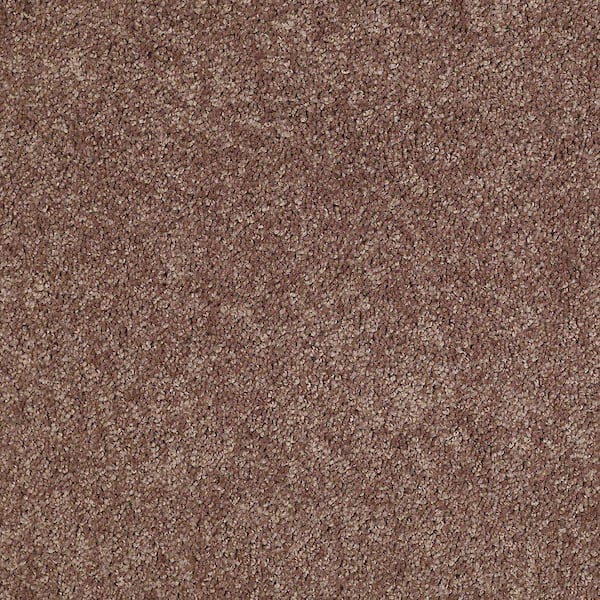 TrafficMaster 8 in. x 8 in. Texture Carpet Sample - Alpine - Color Adventure