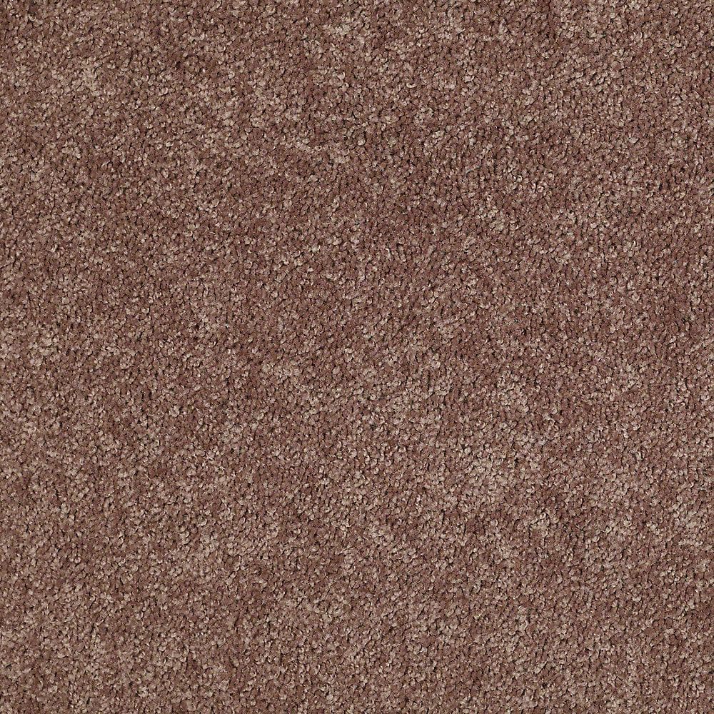 8 in. x 8 in. Texture Carpet Sample - Palmdale I - Color Espresso price history on PriceWatchPro