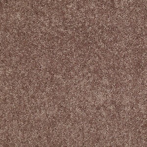 8 in. x 8 in. Texture Carpet Sample - Palmdale I - Color Espresso