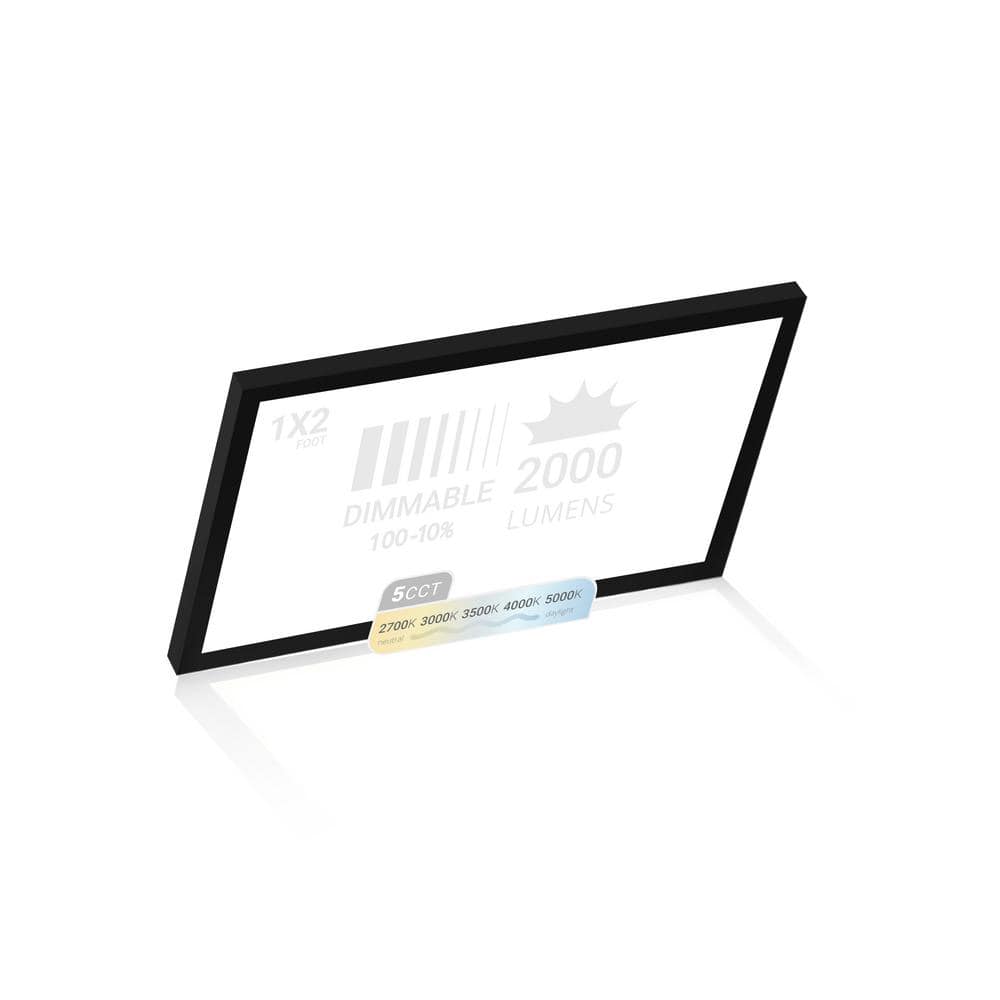 1 ft. x 2 ft. Black Surface Mount 2000LM, Integrated LED Panel Internal Driver, 5CCT 2700K to 5000K, Triac Dimmable, 22W price history on PriceWatchPro