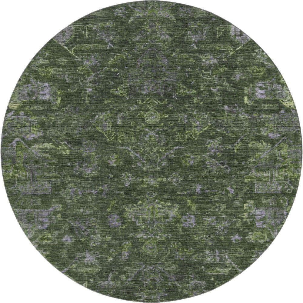 Mayfield Premium Machine Washable Abstract AMF2322 Olive 8 ft. x 8 ft. Round Rug price history on PriceWatchPro