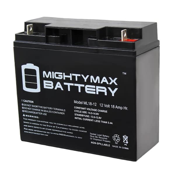 MIGHTY MAX BATTERY 12V 18AH SLA Battery Replacement for XG10000E Generator  MAX3901845 - The Home Depot