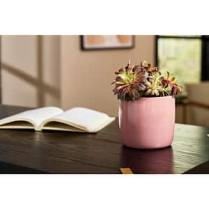 5.1 in. x 5.1 in. D x 4.7 in. H Maisy Small Pink Ceramic Pot