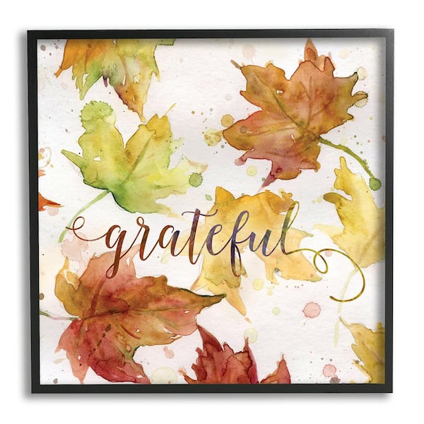 Stupell Industries Grateful Fall Maple Leaves by Carol Robinson 1 Piece Framed Graphic Print Typography Poster Art Print 12 in. x 12 in.