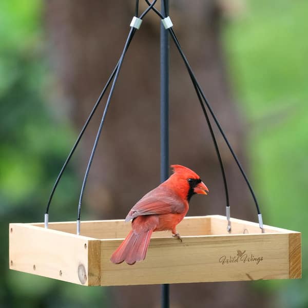 Nature s Way Bird Products Cedar Tray Wild Bird Feeder WWCF23 The Home Depot