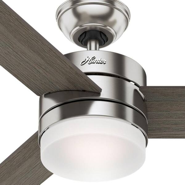 hunter exeter 54 ceiling fan