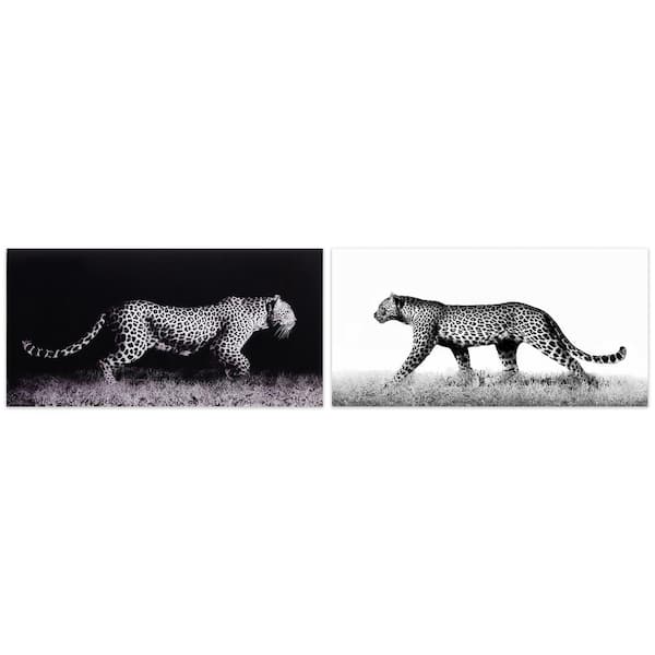 Empire Art Direct Persian B and W Pet Paintings on Printed Glass Encased  with a Gunmetal Anodized Frame Animal Art Print, 24 in. x 18 in.  AAGB-JP1050-2418 - The Home Depot