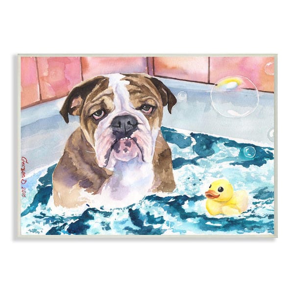 Stupell Industries English Bulldog In Bathtub Rubber Duck Bubbles By George Dyachenko Unframed Print Animal Wall Art 13 in. x 19 in.