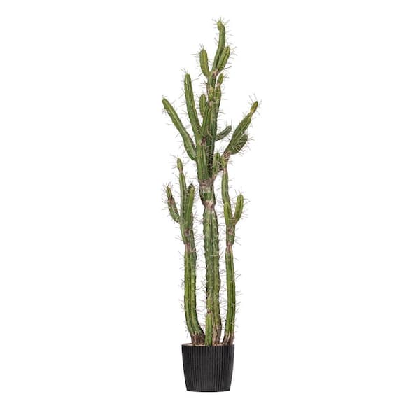 Vickerman 56.5 in. in Green Artificial Cactus in. in Black Plastic Planters Pot