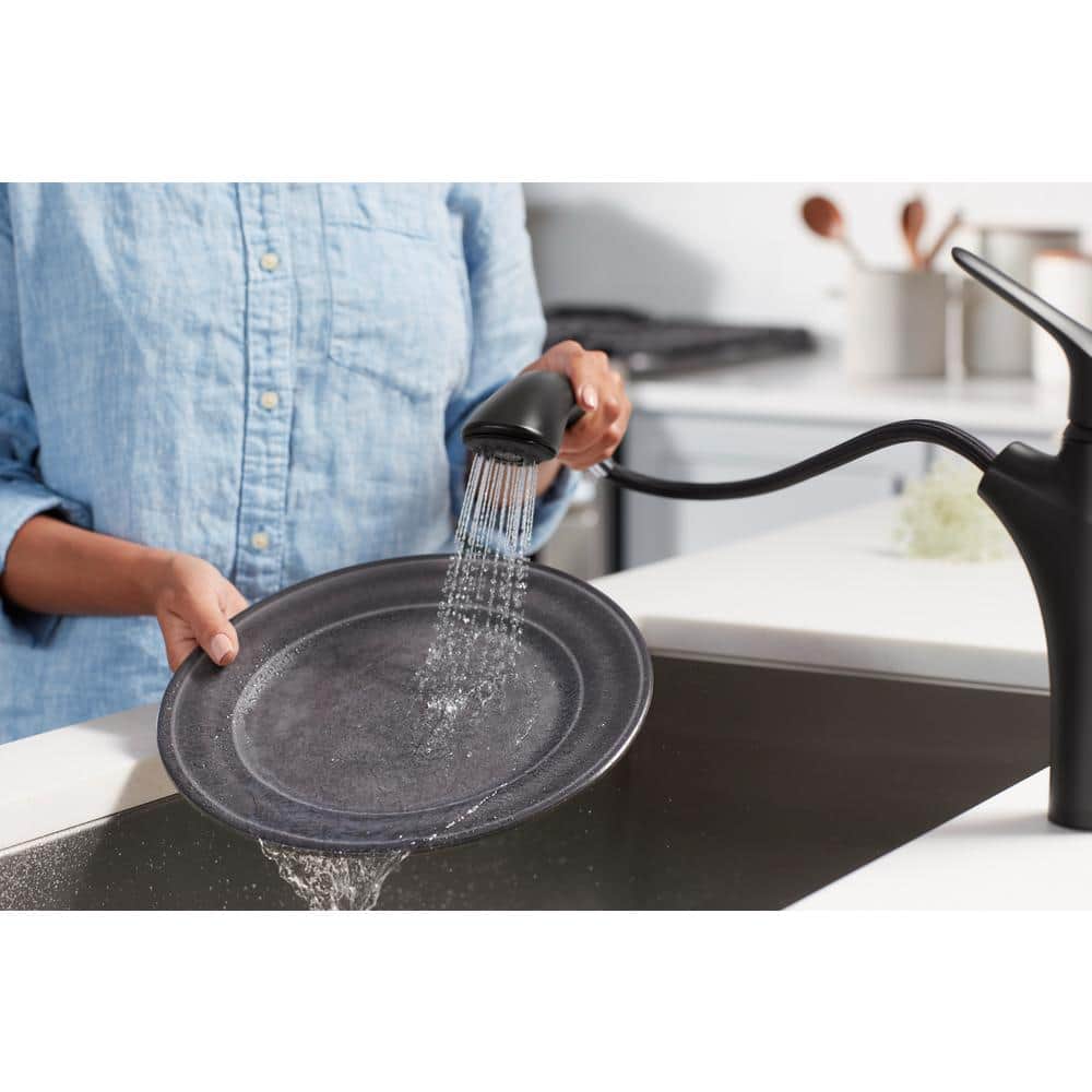 Matte Black Single-Handle Pull-Out Kitchen Faucet