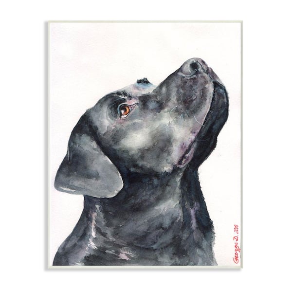 Stupell Industries 10 in. x 15 in. "Black Labrador Dog Pet" by George Dyachenko Wood Wall Art