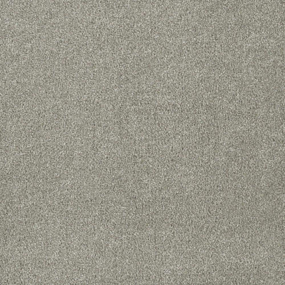 8 in. x 8 in. Texture Carpet Sample - Soft Breath Plus I -Color Highland price history on PriceWatchPro