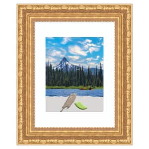 Versailles Gold Wood Picture Frame Opening Size 11 x 14 in. (Matted To 8 x 10 in.)
