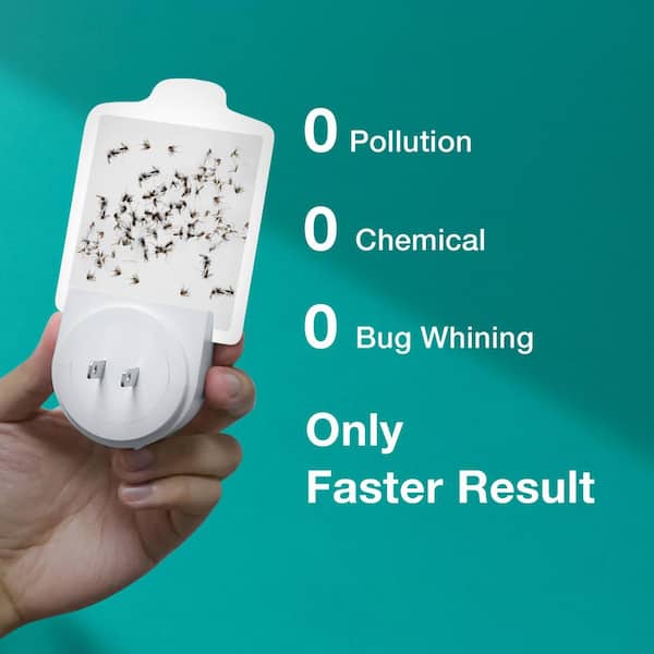 ZINGZAP Flying Insect Trap for House Flies, Moths and Light-Loving
