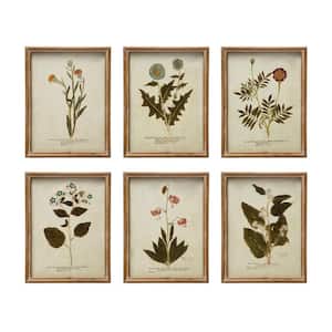6-Piece Wood Framed Botanical Art Print 13 in. x 10 in.