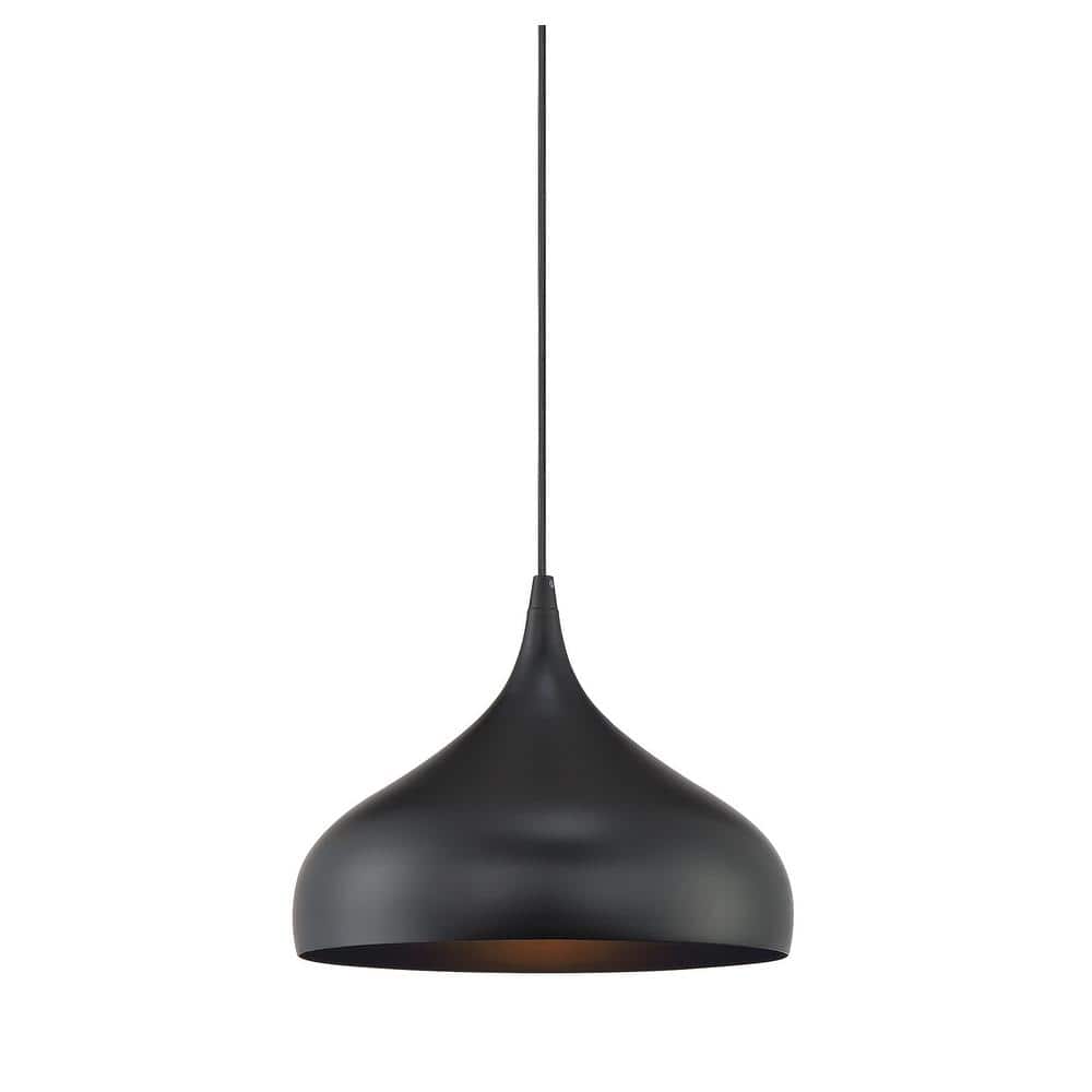 12 in. W x 8.5 in. H 1-Light Matte Black Mini Pendant Light with Metal Shade price history on PriceWatchPro