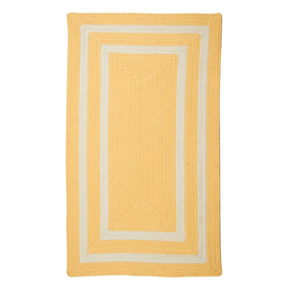 Griffin Border Yellow/White 7 ft. x 9 ft. Braided Indoor/Outdoor Patio Area Rug price history on PriceWatchPro