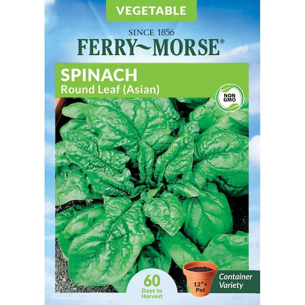 Spinach Round Leaf Asian Vegetable Seeds