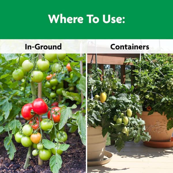 Miracle-Gro Shake N Feed Tomato, Fruit and Vegetable Plant Food 1 lb. For  In-Ground and Container Plants, Dry Fertilizer 3002510 - The Home Depot