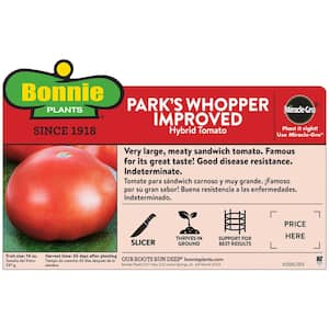 2.32 qt. Parks Whopper Tomato Plant