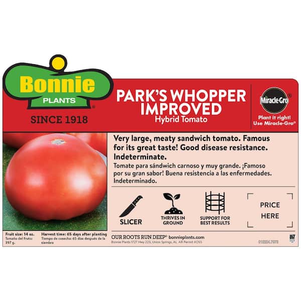 19 oz. Parks Whopper Tomato Plant