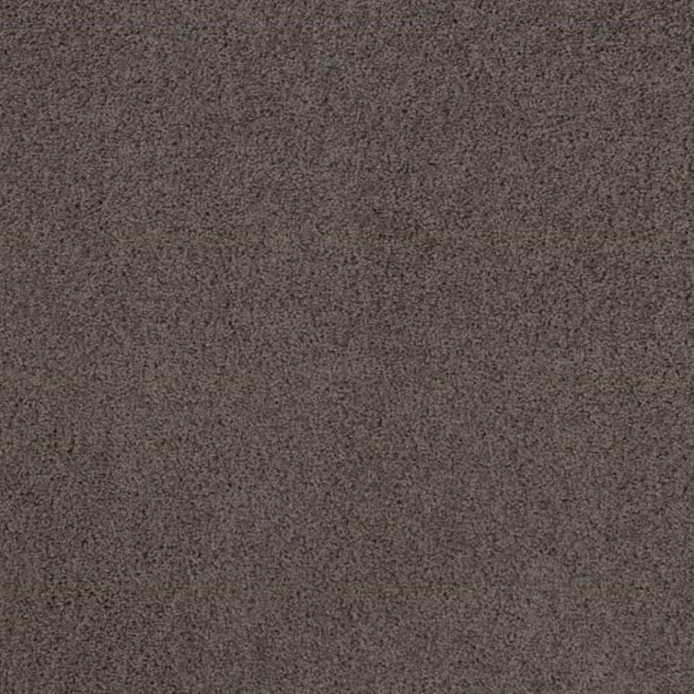 8 in. x 8 in. Texture Carpet Sample - Around The World - Color Armor price history on PriceWatchPro