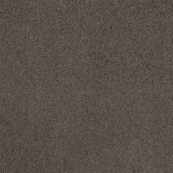 Lifeproof 8 in. x 8 in. Texture Carpet Sample - Around The World - Color Armor