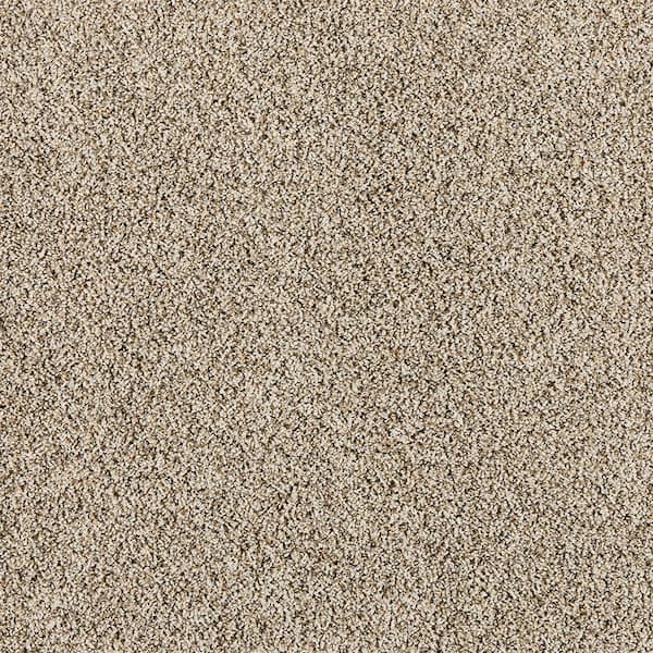 Home Decorators Collection Radiant Retreat I Rustic Brown 47 oz. Polyester Textured Installed Carpet