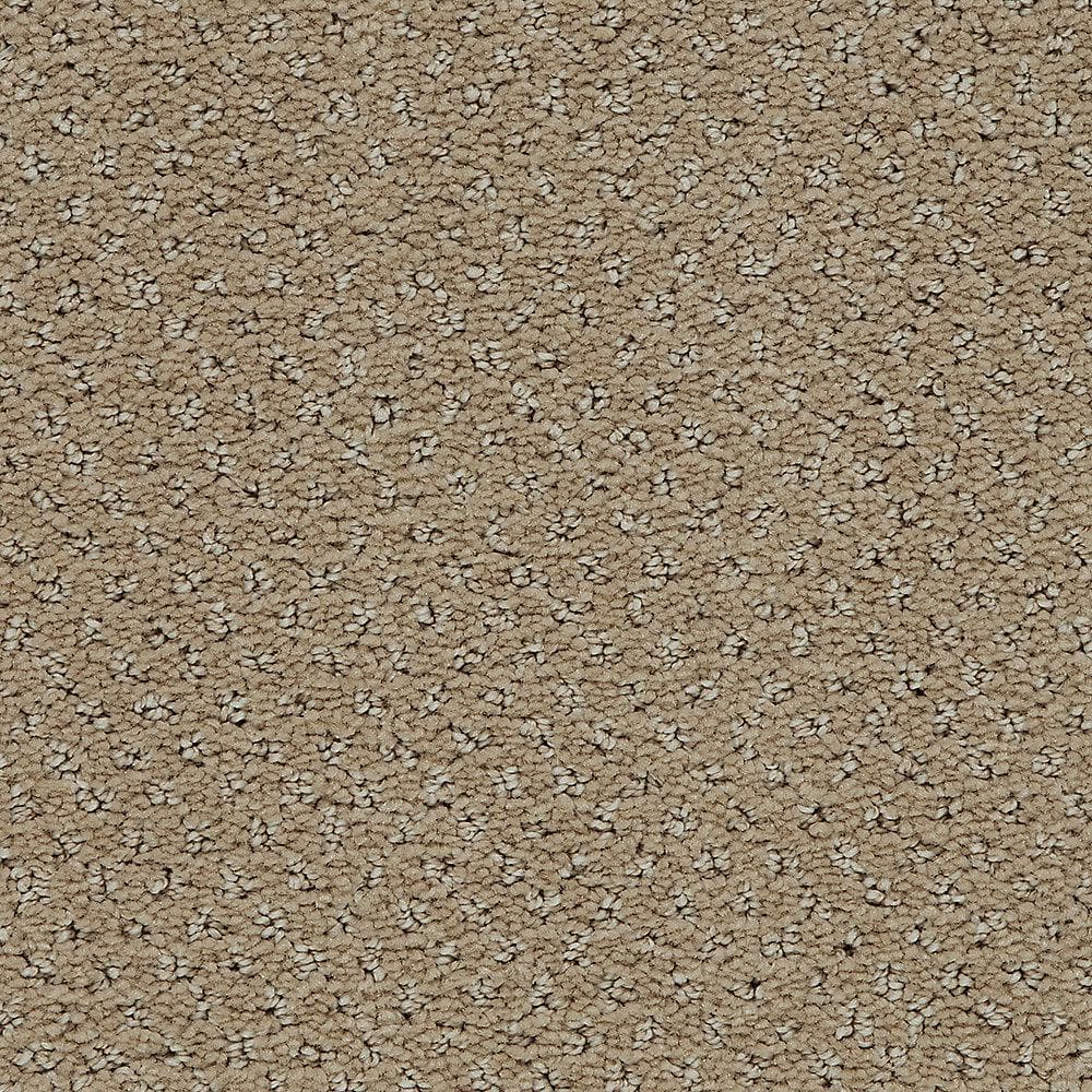 8 in. x 8 in. Pattern Carpet Sample - Pretty Penny -Color Earth Tone price history on PriceWatchPro