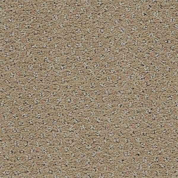 Lifeproof with Petproof Technology 8 in. x 8 in. Pattern Carpet Sample - Pretty Penny -Color Earth Tone