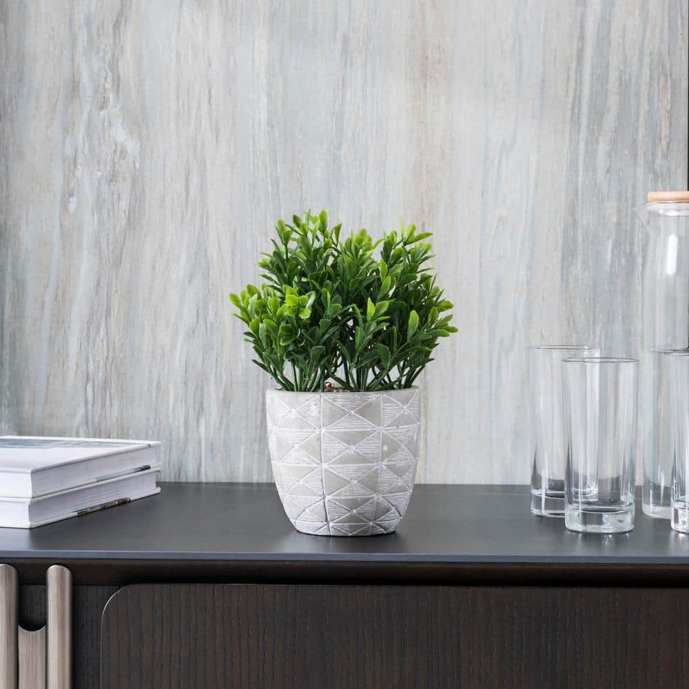 Indoor Artificial Boxwood Shrub in Geo Cement Pot