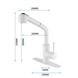 Zayd Single-Handle Kitchen Sink Faucet with Pull Down Sprayer in White