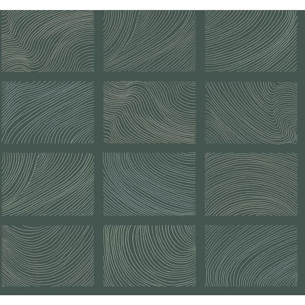 A-Street Prints Bronson Green Topography Non-Pasted Wallpaper
