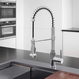 Nouvet Single-Handle Pull Down Sprayer Kitchen Faucet in Chrome