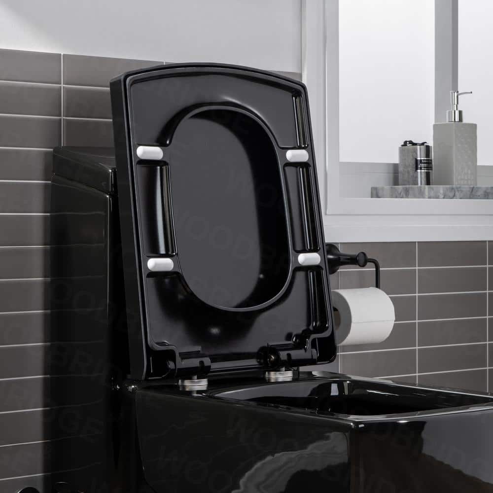 Black Square One-Piece Dual Flush Chair Height Toilet