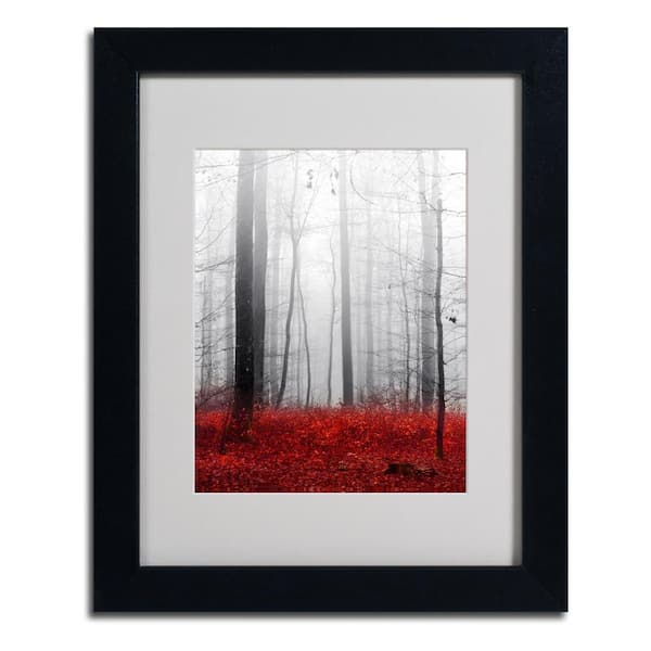 Trademark Fine Art Little Red Carpet by Philippe Sainte-Laudy Nature ...